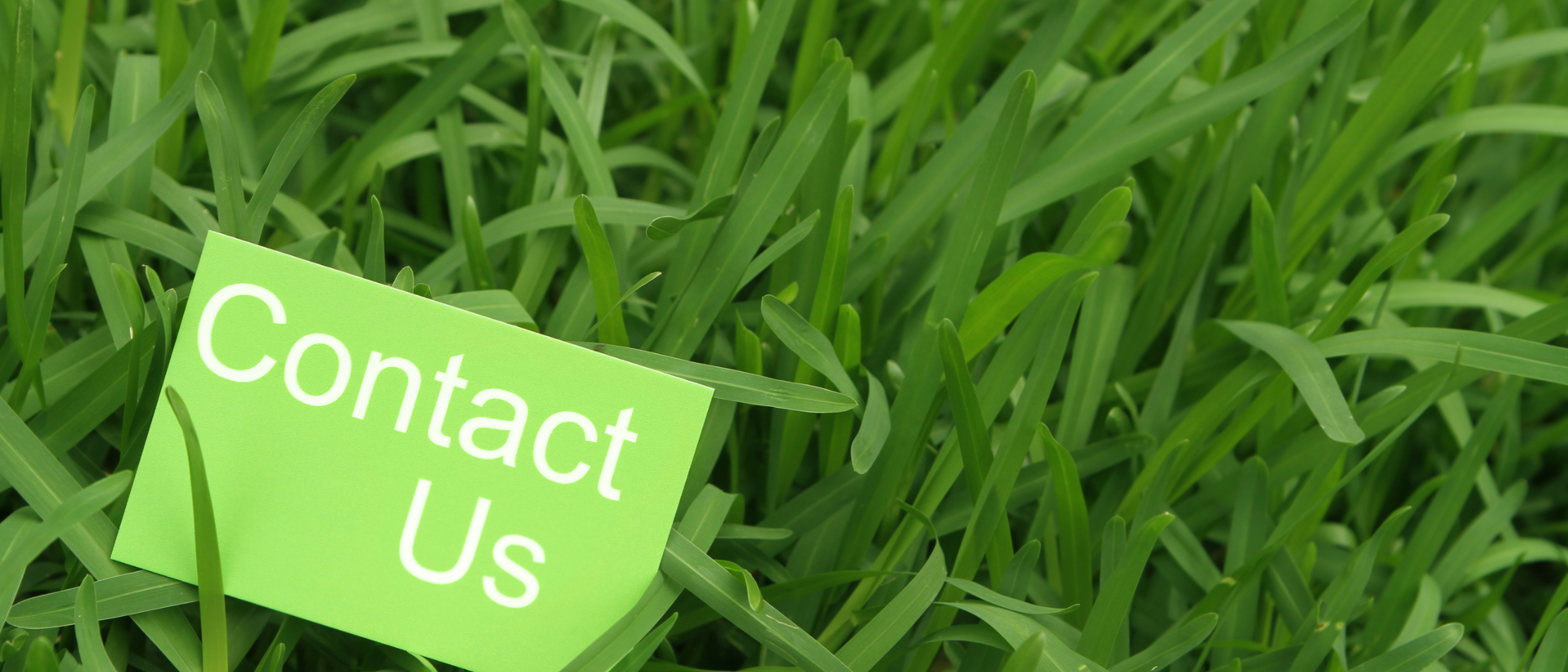 Contact us call to action image in a nature background